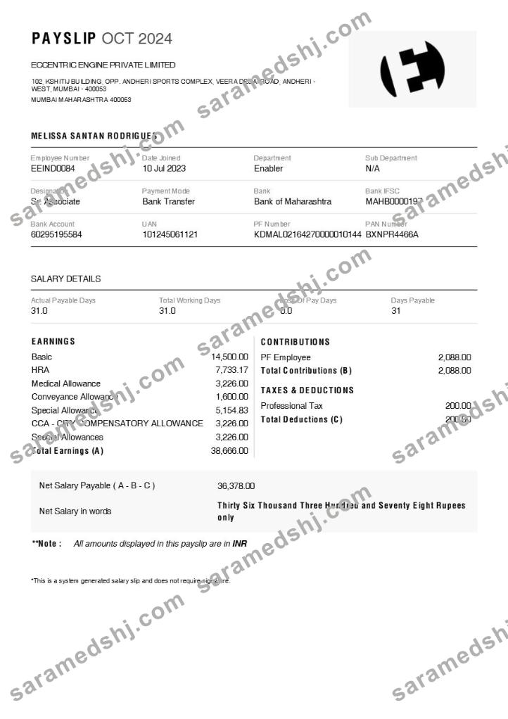 Eccentric Engine payslip template in Word and PDF formats.pdf, 1